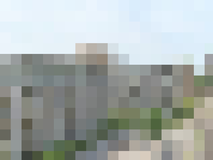 Image 22