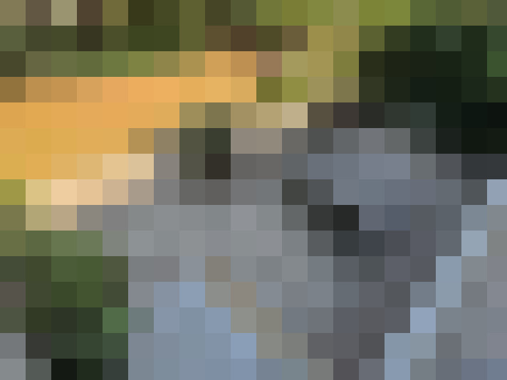 Image 15