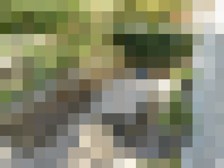 Image 16