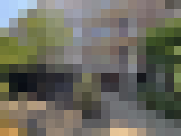 Image 17
