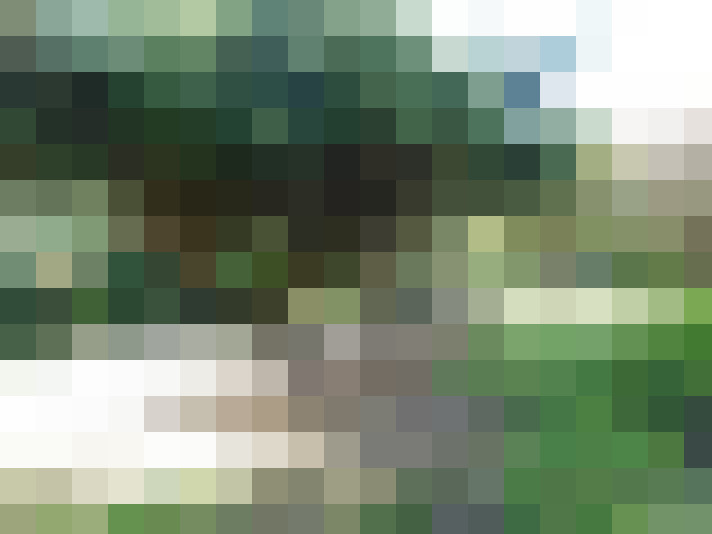 Image 20