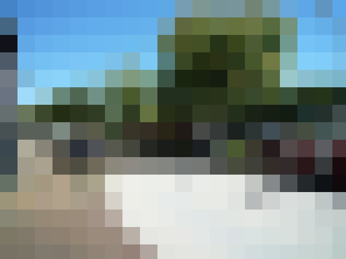 Image 23