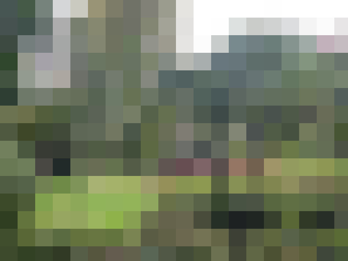 Image 20