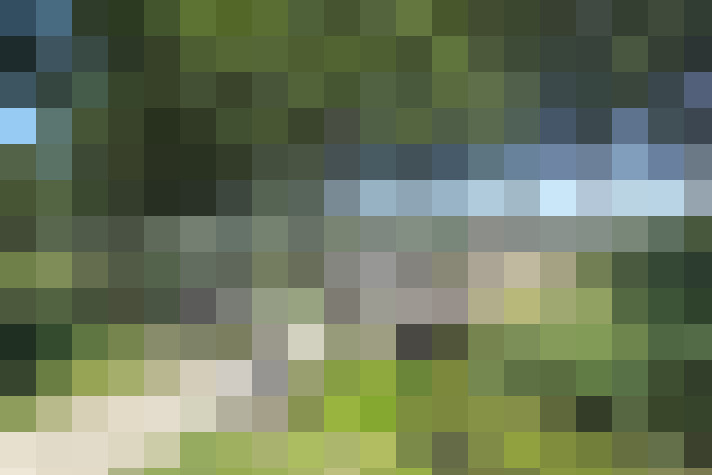 Image 14