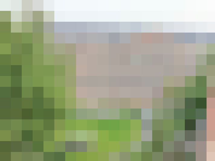 Image 20