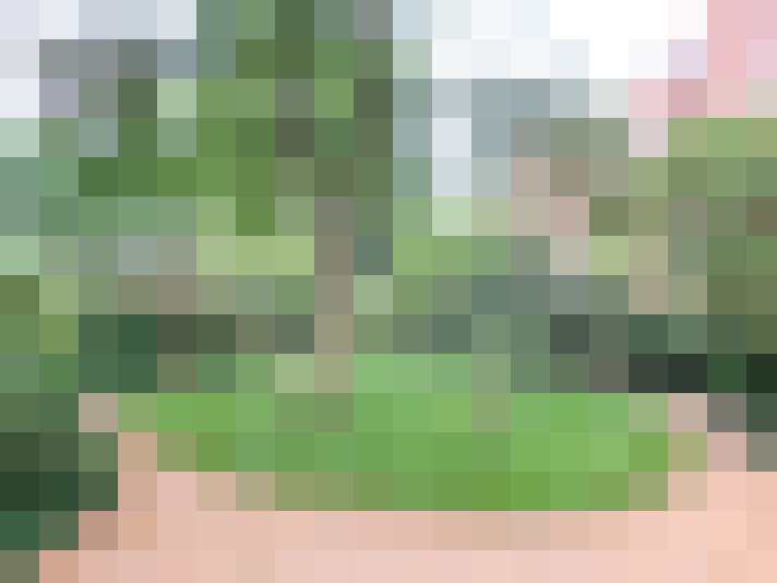 Image 23