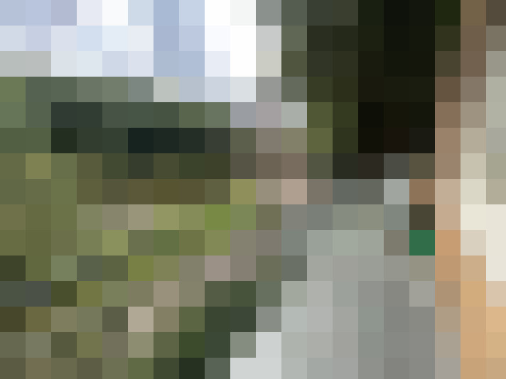 Image 17
