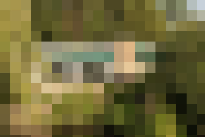  / #31