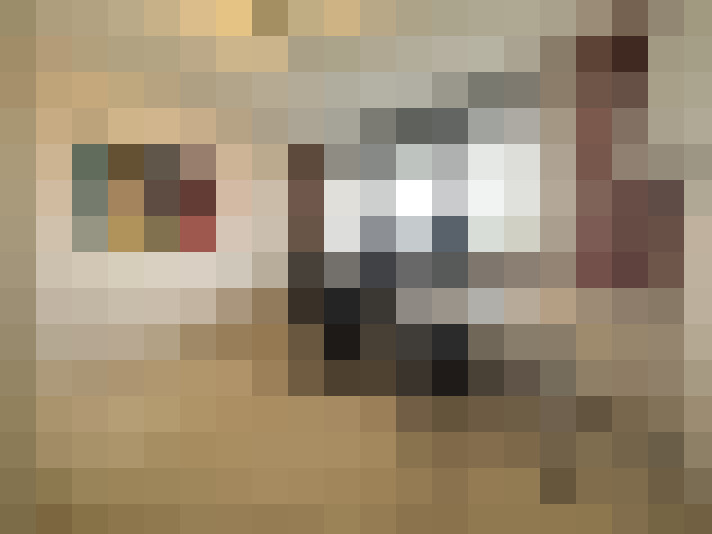 Image 20