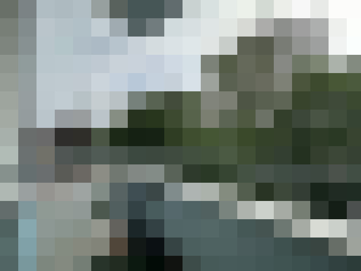 Image 31