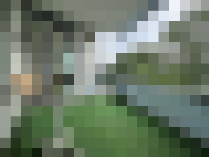Image 29