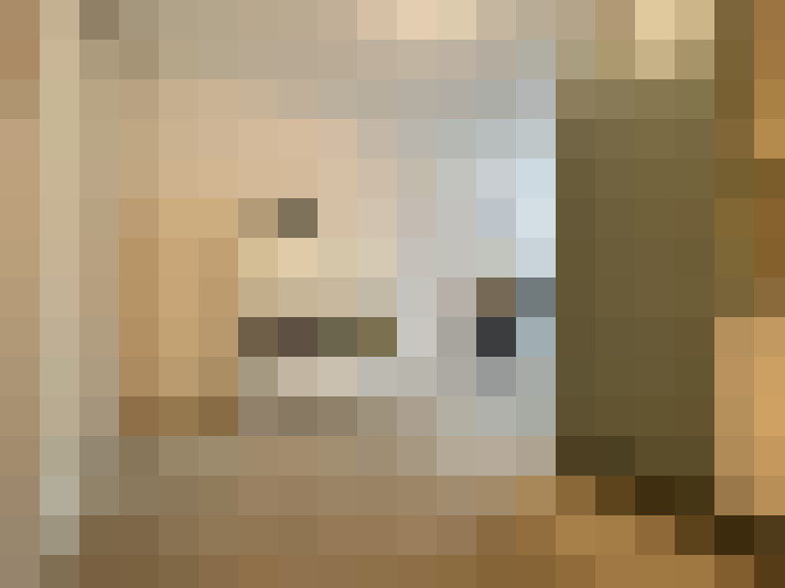 Image 14