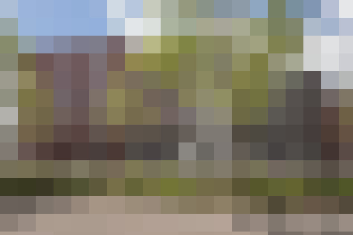Image 17