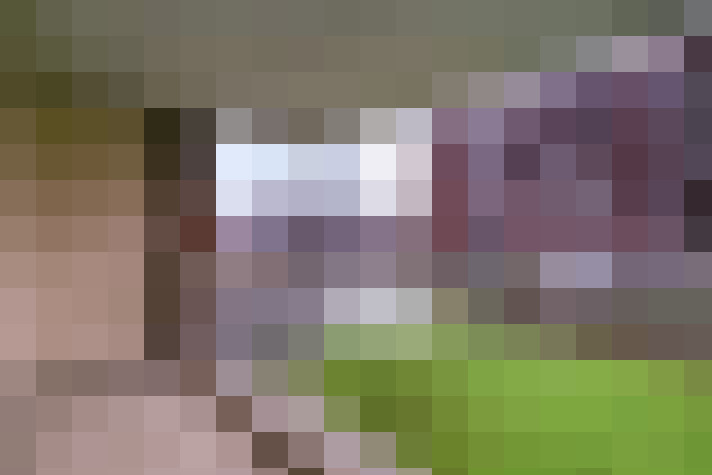 Image 15