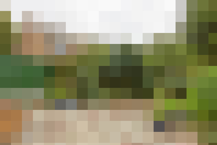 Image 14