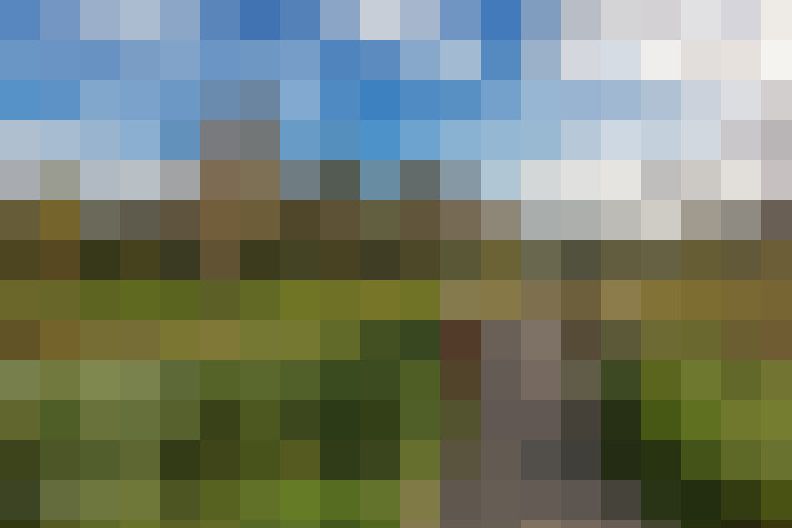 Image 36
