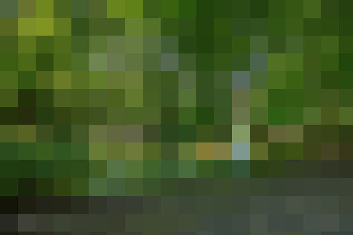 Image 39