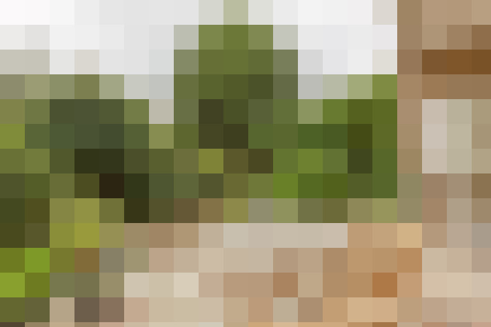Image 15