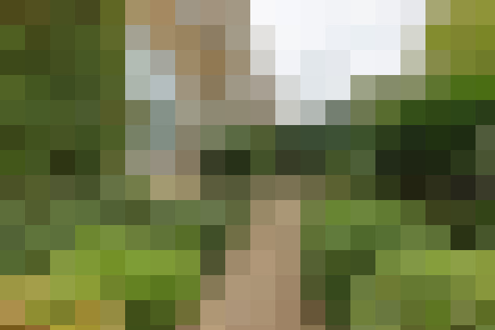 Image 32