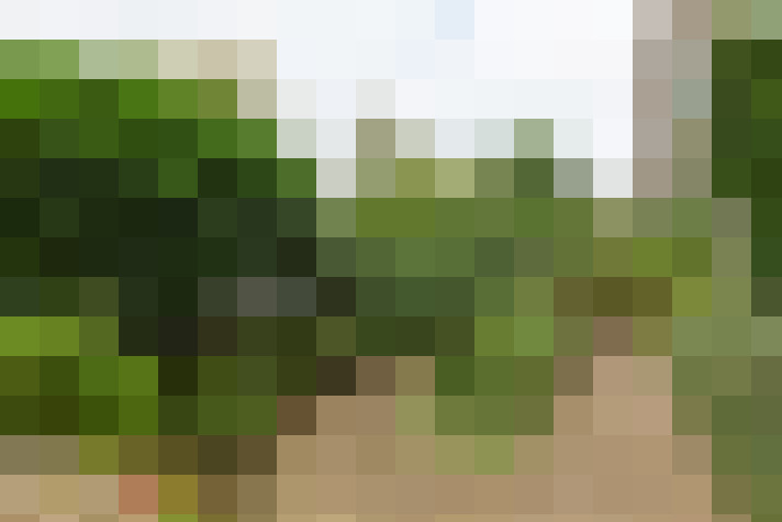 Image 30