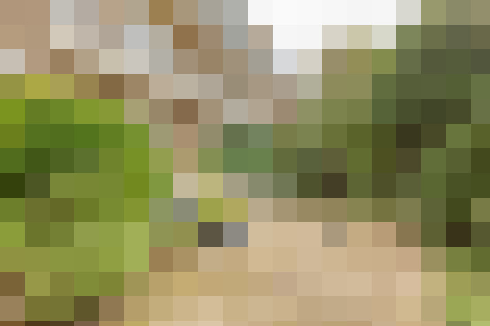 Image 16