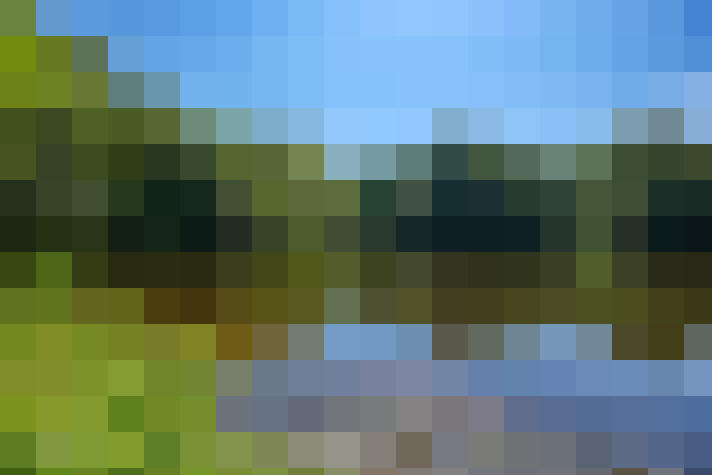 Image 38