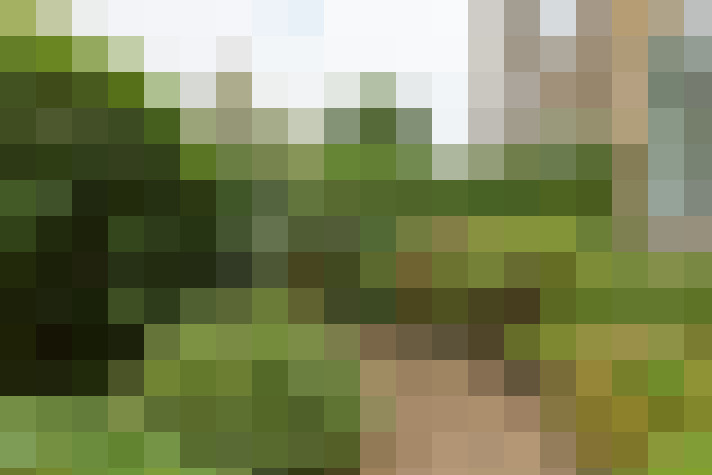 Image 31