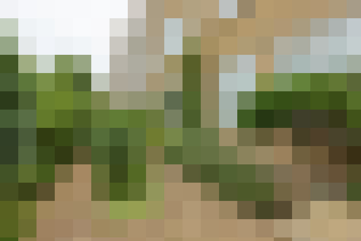 Image 29
