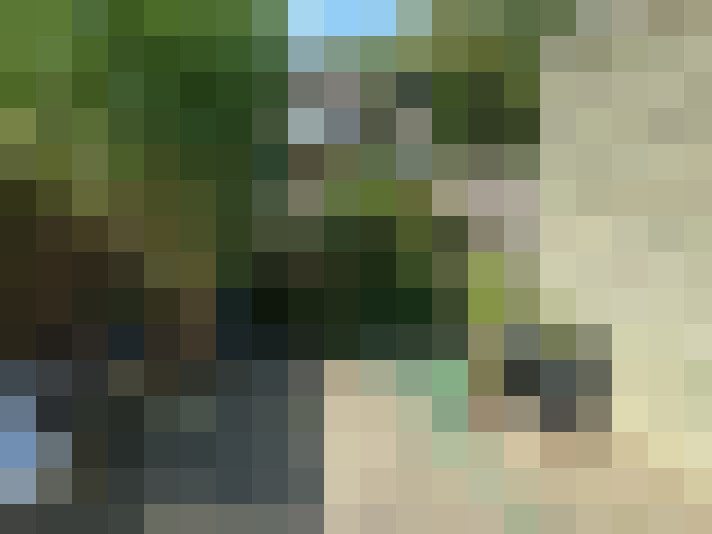 Image 25