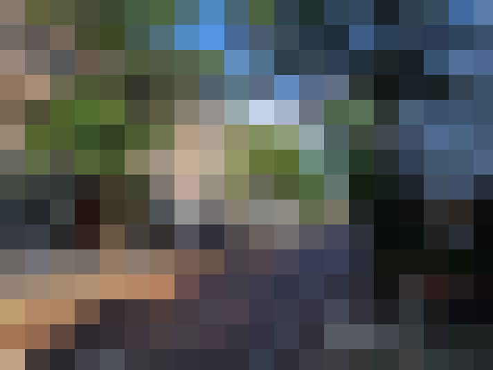 Image 37