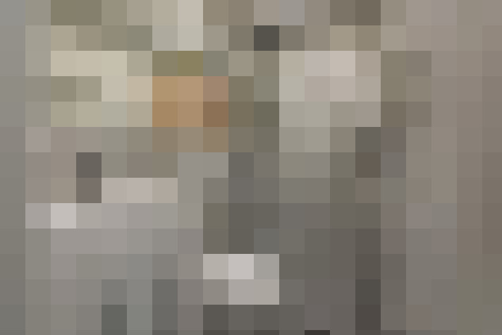  / #31