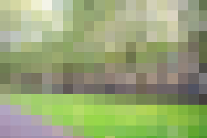  / #43
