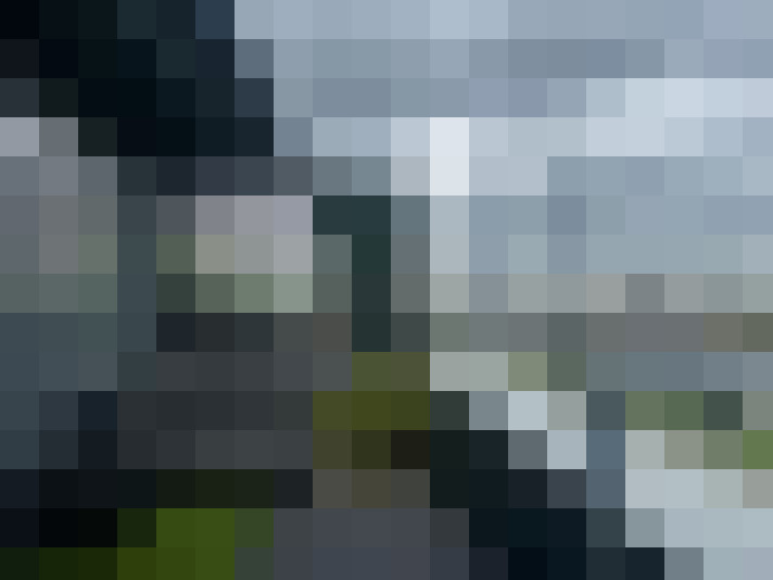 Image 31