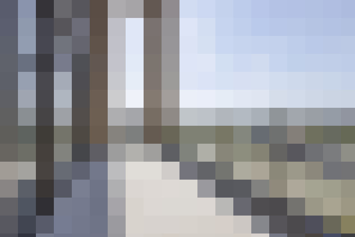  / #31