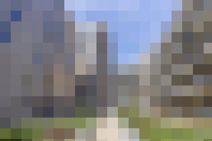  / #85
