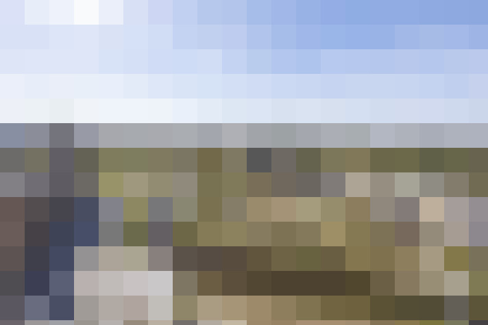  / #79