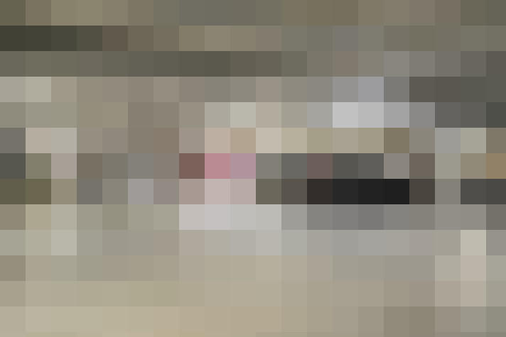  / #17