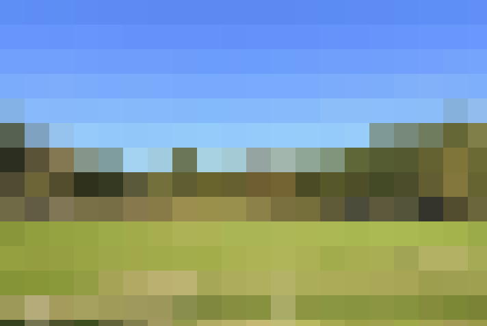  / #12