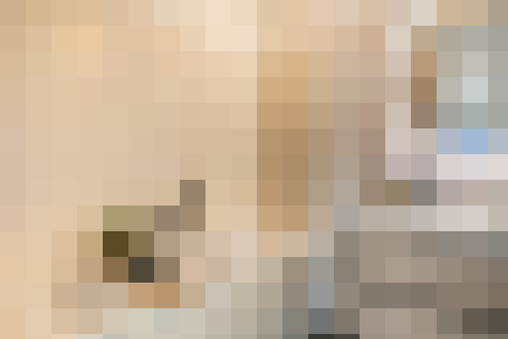 Image 20