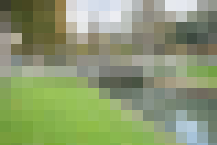 Image 41