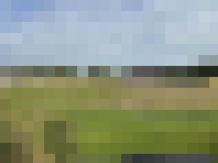 Image 23