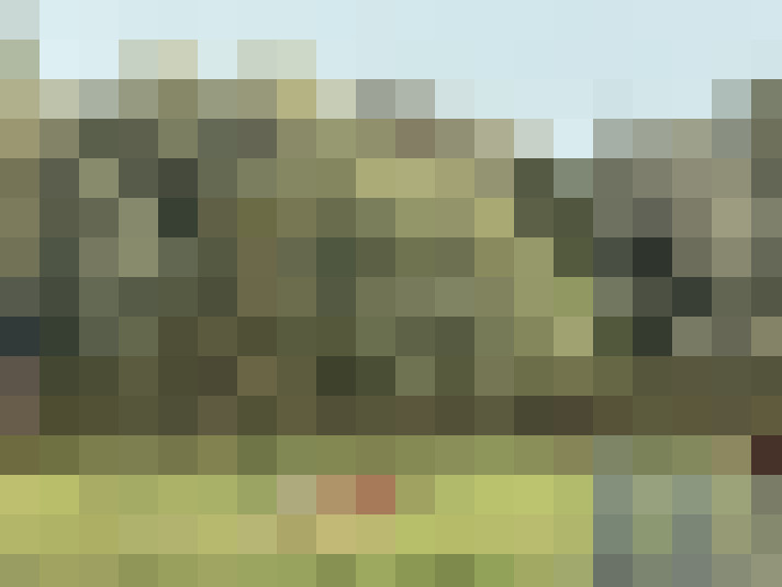 Image 35