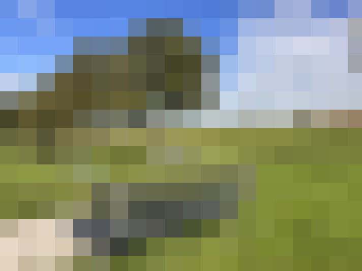 Image 39