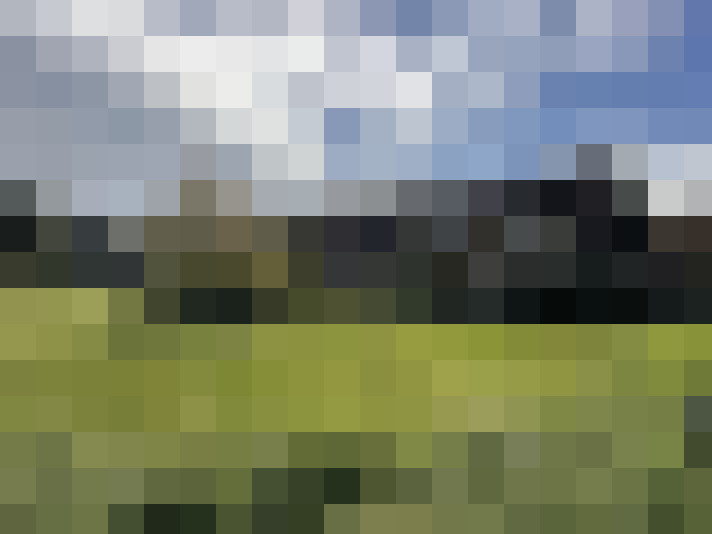 Image 38