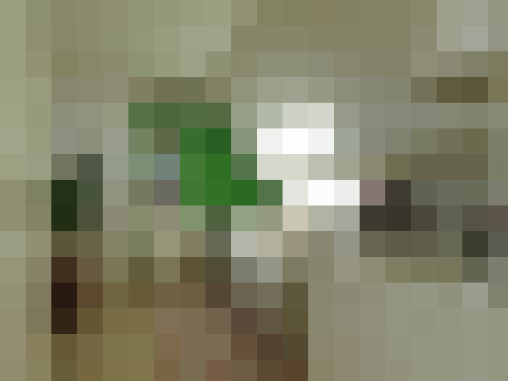 Image 47