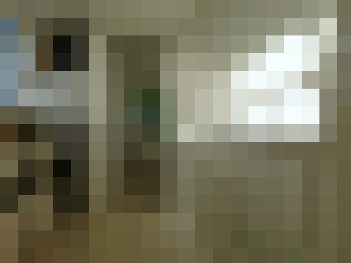 Image 46