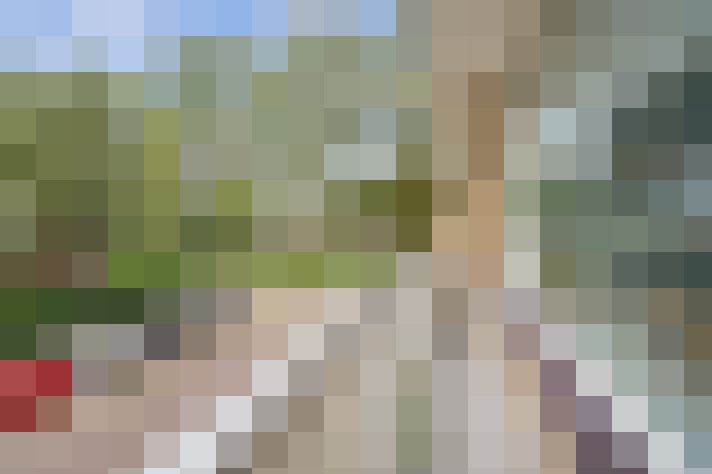Image 26