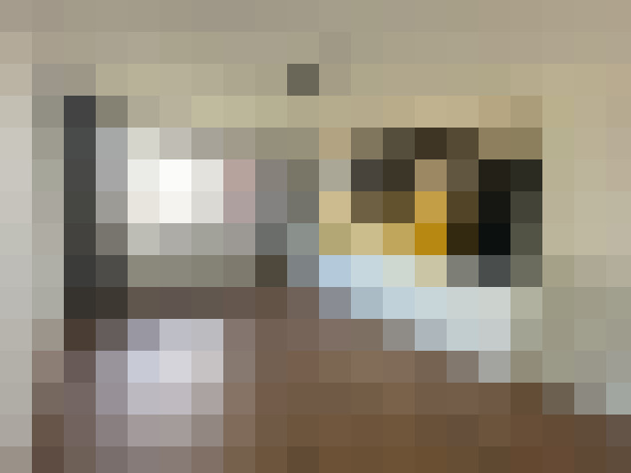 Image 23