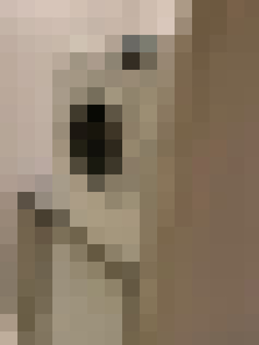  / #10