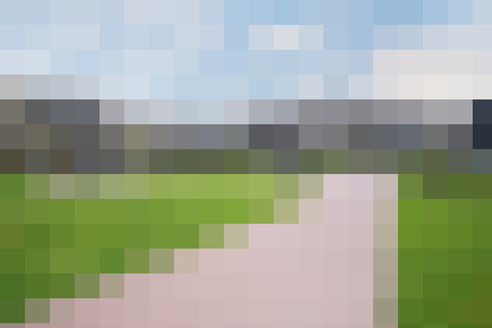 Image 29